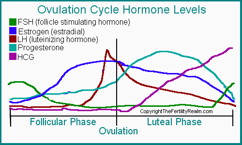 Luteinizing Hormone Range Chart